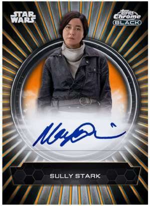 Maya Erskine as Sully Stark