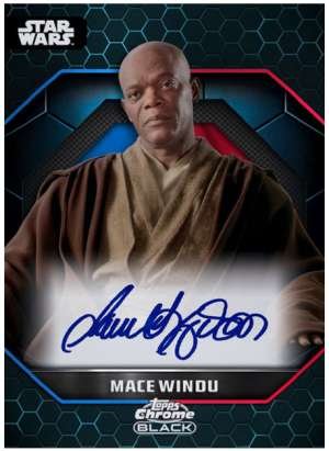 Samuel L. Jackson as Mace Windu