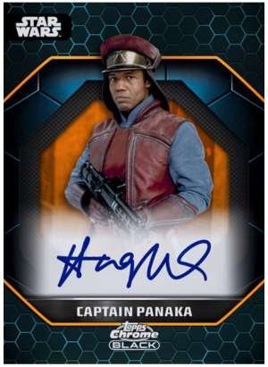 Hugh Quarshie as Captain Panaka