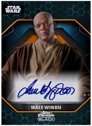 Samuel L. Jackson as Mace Windu