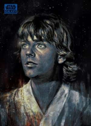 Luke Skywalker - Alice X. Zhang