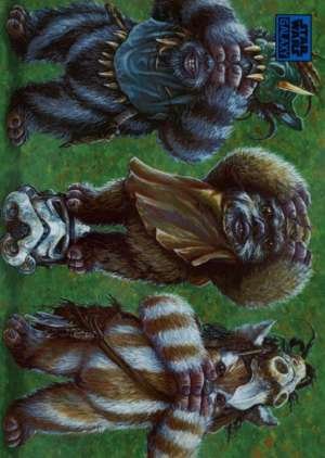 Ewok No Evil - Craig Skaggs