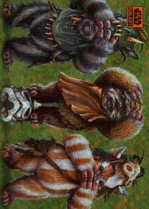 Ewok No Evil - Craig Skaggs