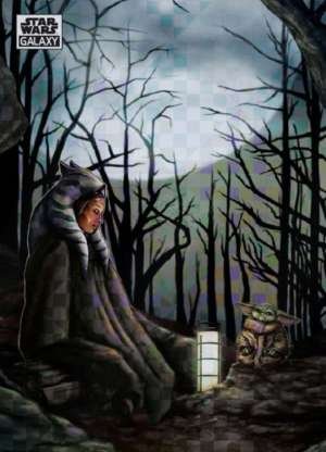 Communion in the Force - Dianne Vaznelis