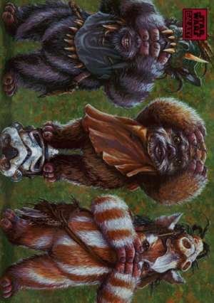 Ewok No Evil - Craig Skaggs