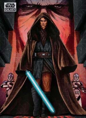 Storming the Jedi Temple - Traci Easterday