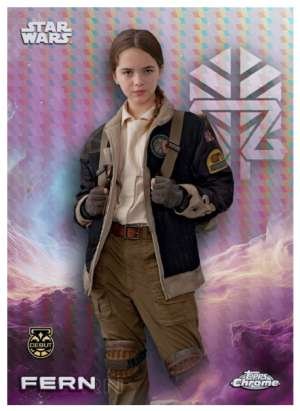 Fern – Debut