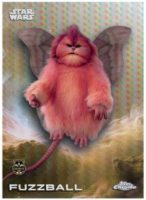 Fuzzball – Debut