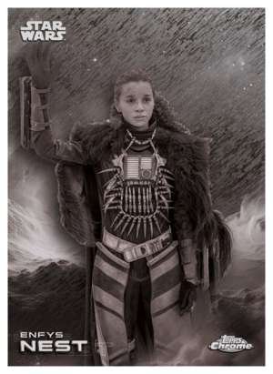 Enfys Nest