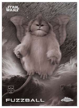 Fuzzball – Debut