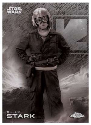 Sully Stark