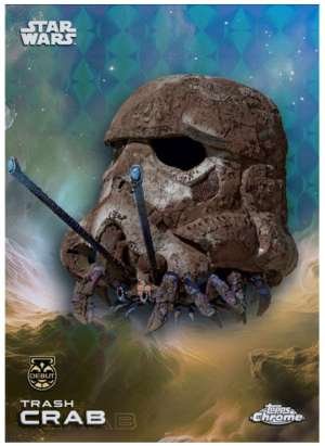 Trash crab – Debut