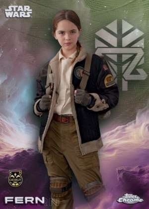 Fern – Debut