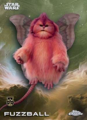 Fuzzball – Debut