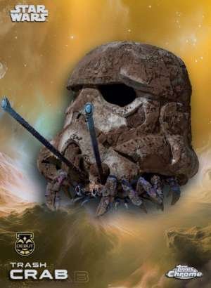 Trash crab – Debut