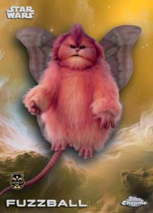 Fuzzball – Debut