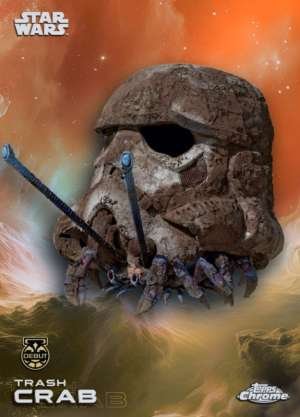 Trash crab – Debut