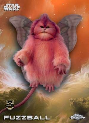 Fuzzball – Debut