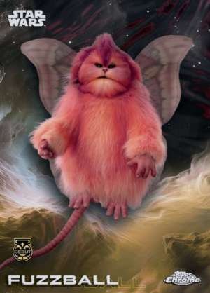 Fuzzball – Debut