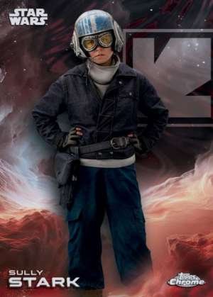 Sully Stark