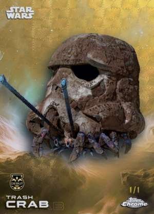 Trash crab – Debut