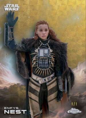 Enfys Nest