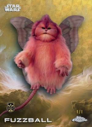 Fuzzball – Debut