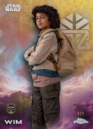Wim – Debut