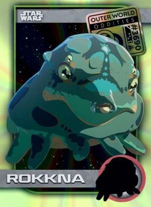 Rokkna