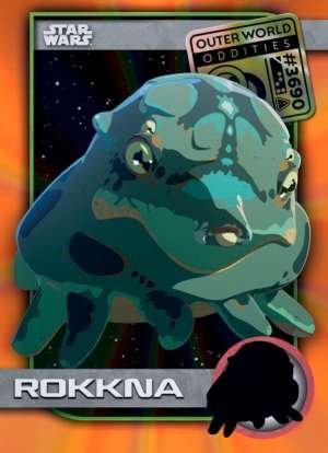 Rokkna