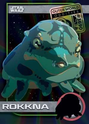 Rokkna