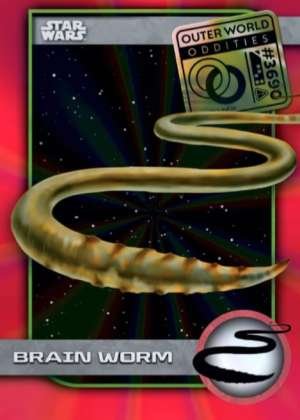 Brain Worm