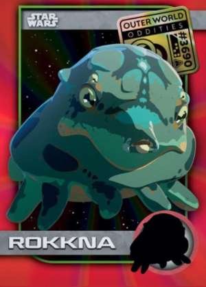 Rokkna