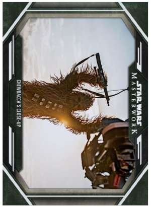 Chewbacca’s Close-Up