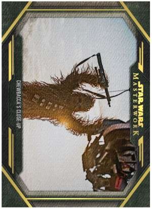 Chewbacca’s Close-Up