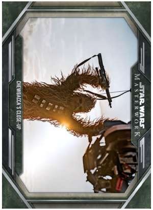 Chewbacca’s Close-Up