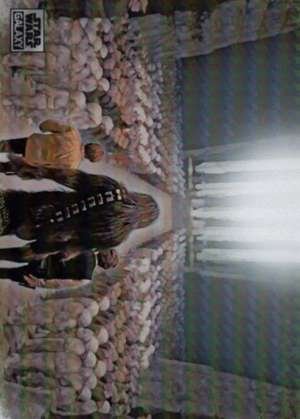 The Medal Ceremony – Joe Corroney