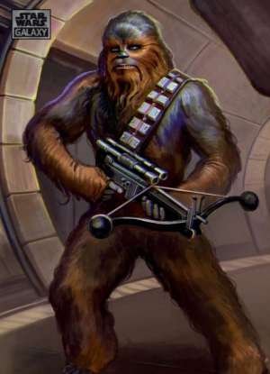 Chewbacca – Joel Chaim Holtzman