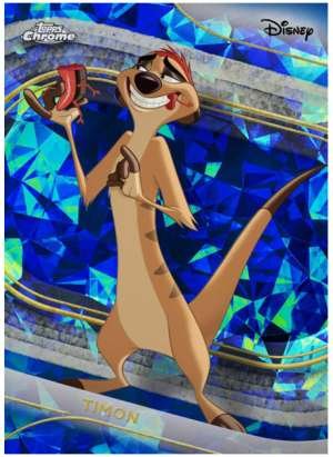 Timon