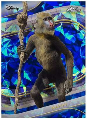 Rafiki (Live Action)