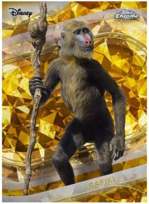Rafiki (Live Action)