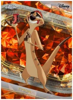 Timon