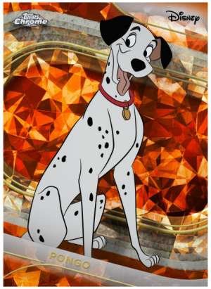 Pongo