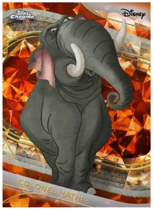 Colonel Hathi