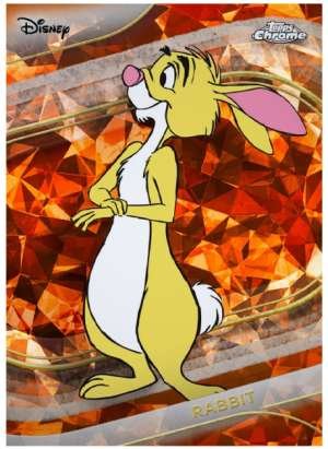 Rabbit