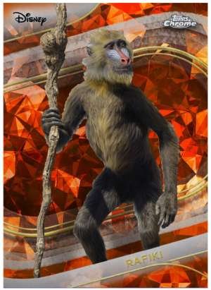 Rafiki (Live Action)