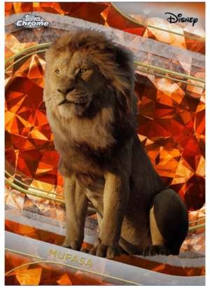 Mufasa (Live Action)