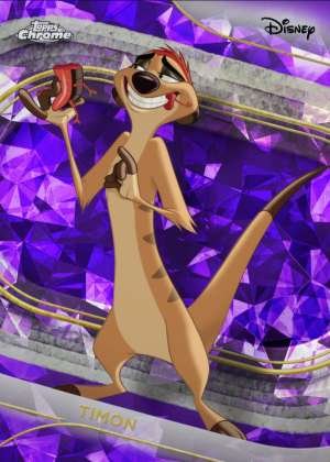 Timon