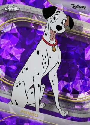 Pongo