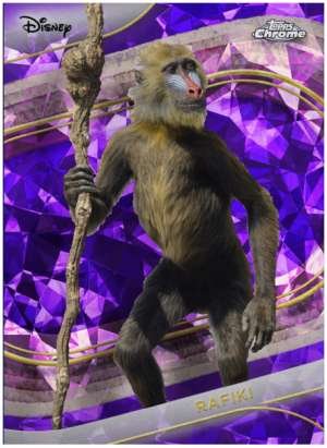 Rafiki (Live Action)